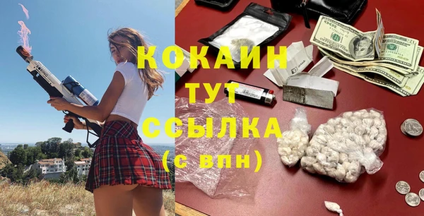 хмурый Алзамай