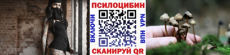 Галлюциногенные грибы мицелий  где купить   Оса 